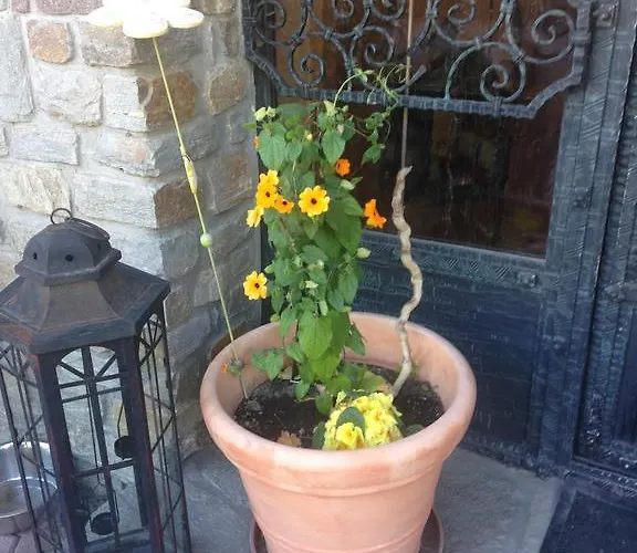 Engadin Наудерс